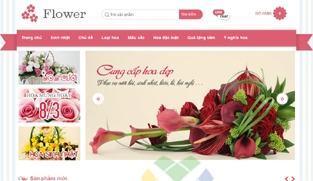 website design packages online
