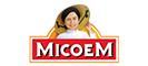 logo đối tác thiết kế website tập đoàn MICOEM
